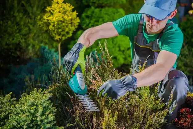 landscaping services Taylor